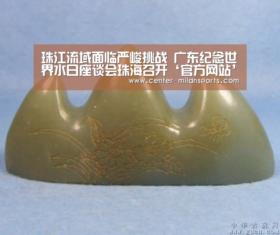 珠江流域面临严峻挑战 广东纪念世界水日座谈会珠海召开‘官方网站’(图2) 米兰体育入口下载